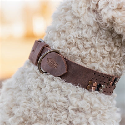 Trixie Hundehalsband Niete Rustikal Spitze Leder Dunkelbraun
